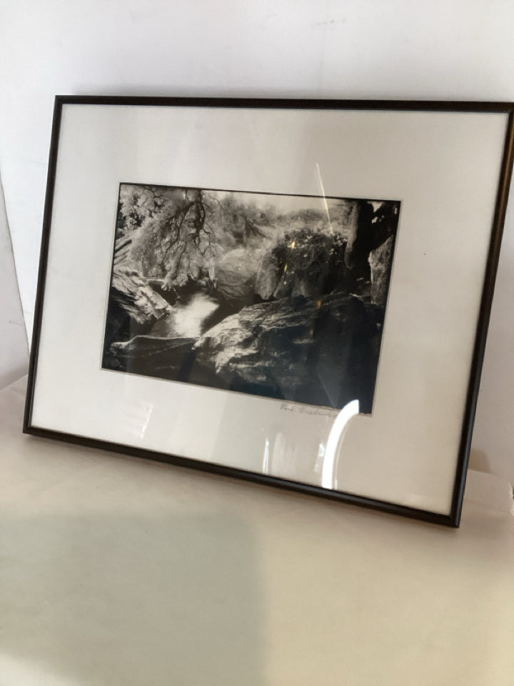 Signed Black/White Landscape Framed Art