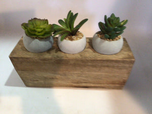 Brown/Green Wood Succulent In Planter Faux Plant