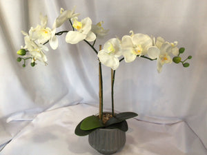 Green/White Orchids In Planter Faux Flowers