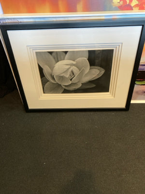 Print Black/White Flower Framed Art