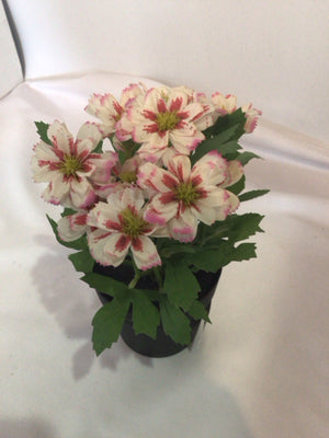 White/Pink In Pot Faux Flowers