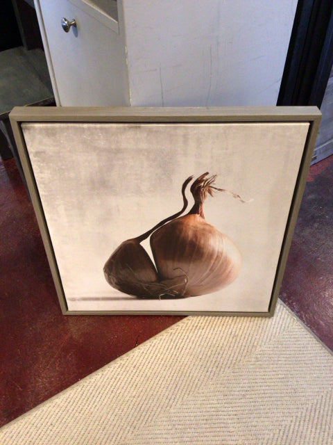 White/Brown Canvas Onion Framed Art