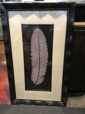 Black/White Feather Framed Art