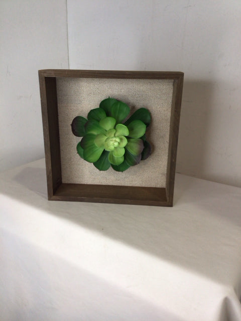 Shadow Green/Brown Succulent Framed Art