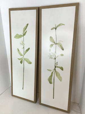 Pair Green/White Flower Framed Art