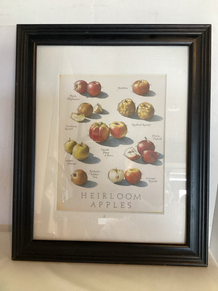 Print Ivory Apple Black Frame Framed Art