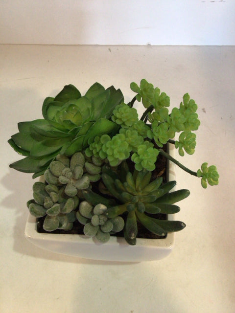 Green/White Succulent Faux Plant