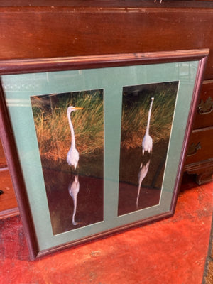 Blue Bird Framed Art