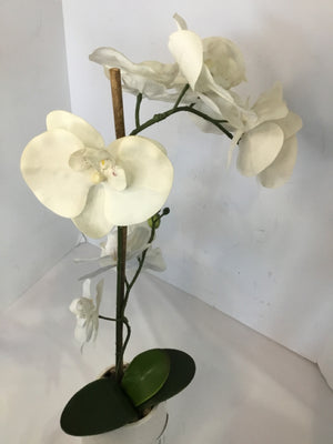 White Orchids Faux Flowers