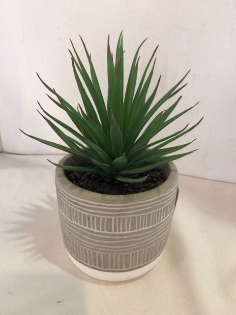 Green Plastic Succulent Faux Plant
