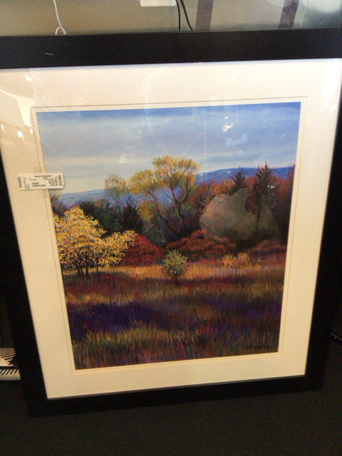 Signed Multi-Color Landscape Mountain Framed Art
