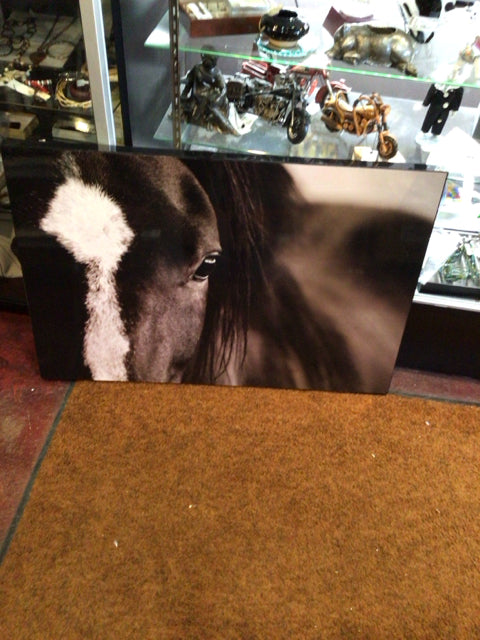 Photograph Earth Tones Horse Framed Art