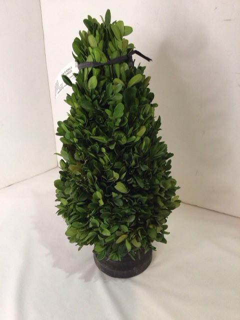 Green In Planter Topiary