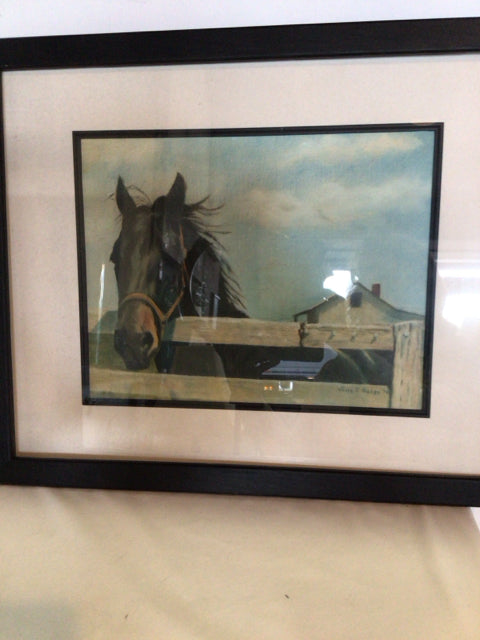 Signed Gray/Black Horse Framed Art