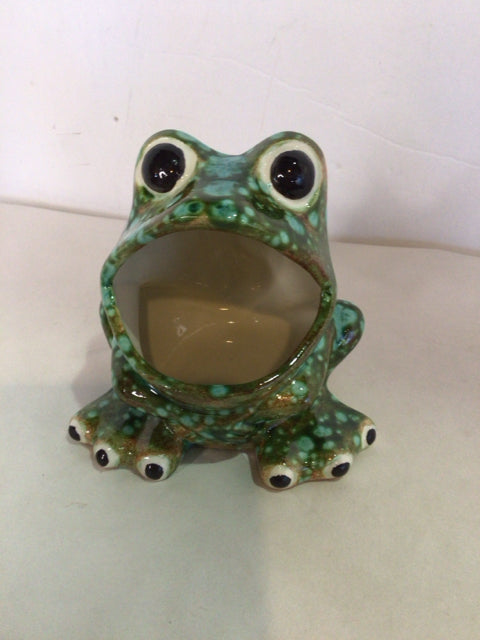 Frog Kitchen Access.