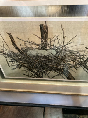 Gold/White Nest Framed Art