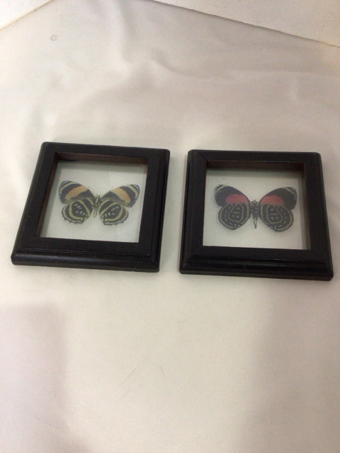 Pair Multi-Color Butterflies Framed Art