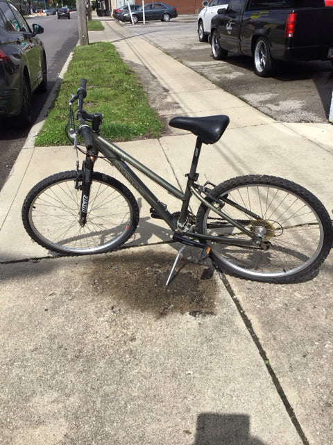 Gray Bike