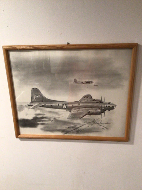 Vintage Gray/White Airplane Framed Art