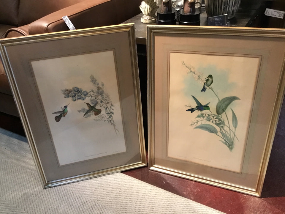 John Gould Vintage Cream/Blue Birds Pair Framed Art