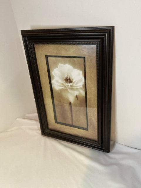 Sepia Magnolia Framed Art