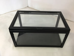 Industrial Glass/Metal Clear/Black Box