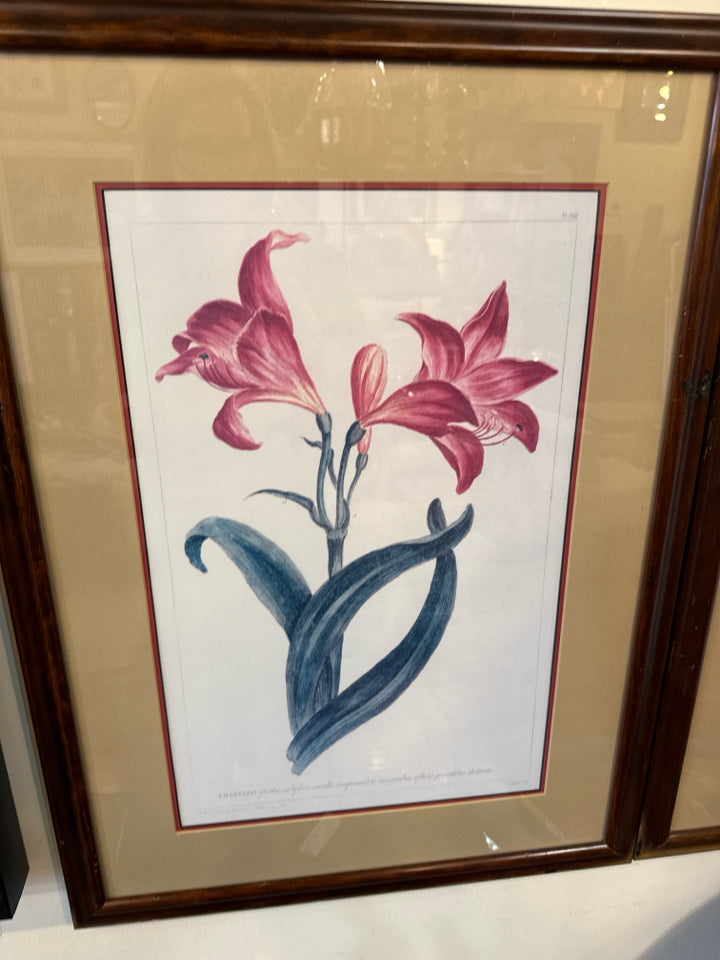 Botanical White/Pink Flower Framed Art