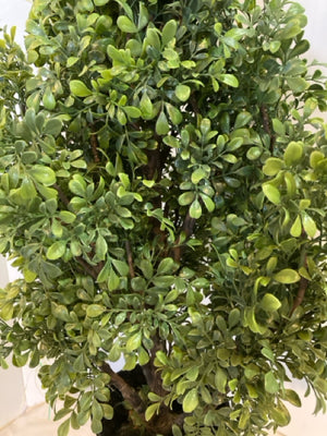 Topiary Green Boxwood In Planter Faux Tree