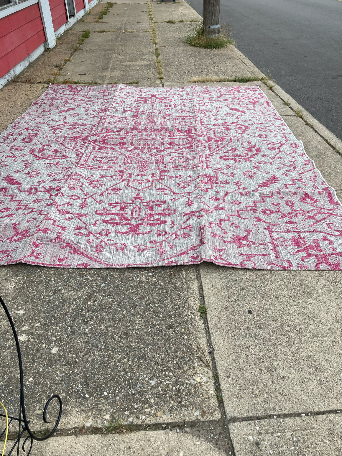 Bison Commerce LLC Outdoor/Outside Pink/Tan Rug 83X38UAT