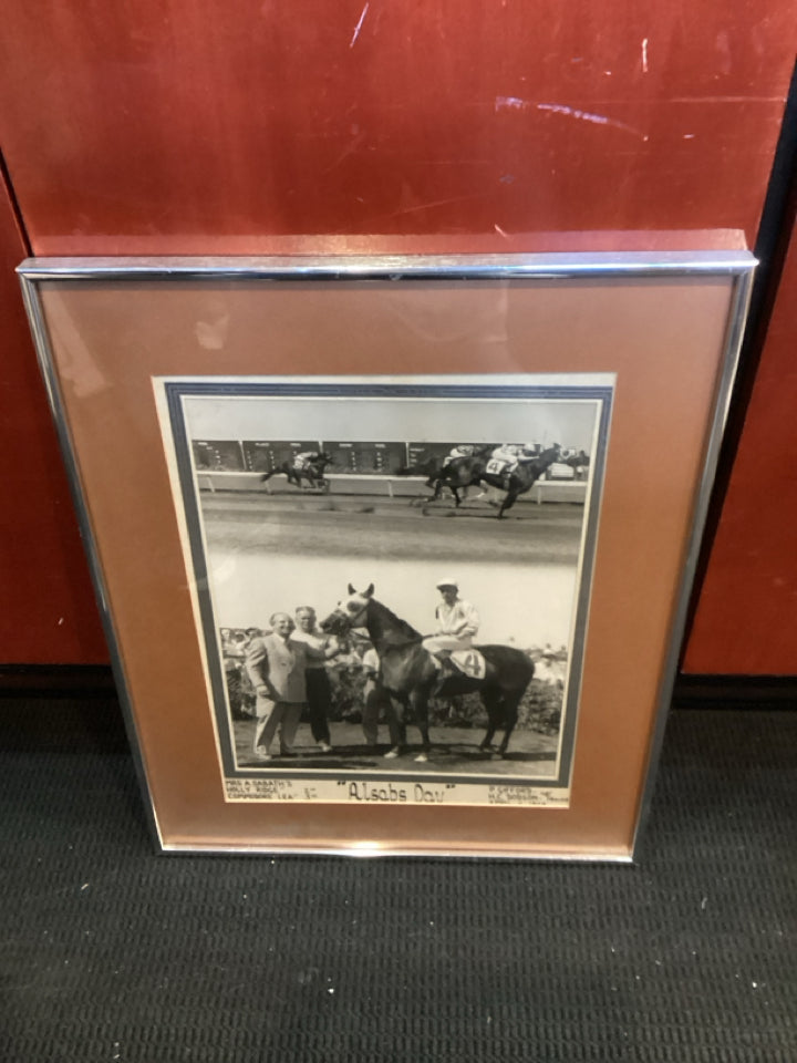 Vintage Photograph Black/White Horse Framed Art