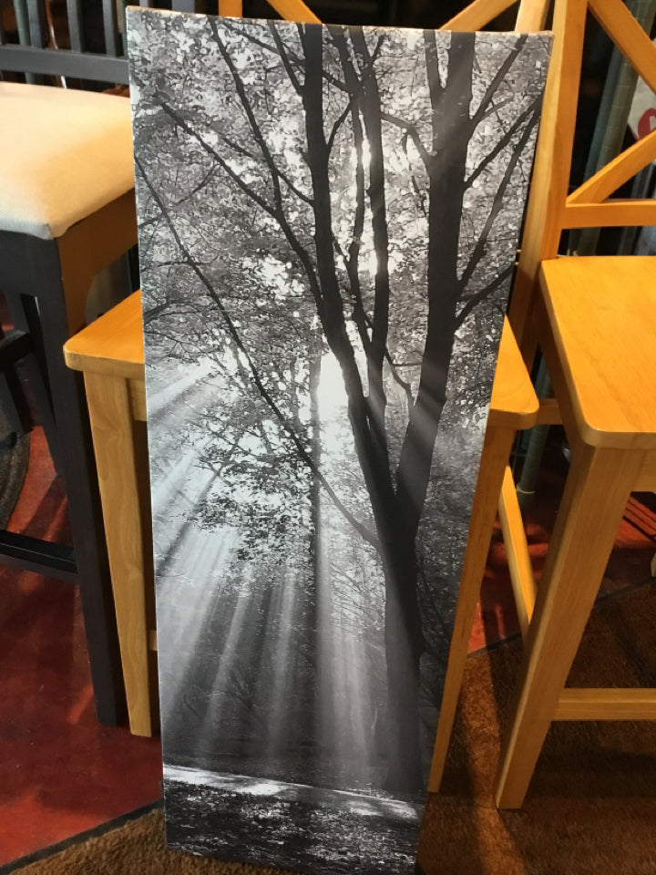 Black/White Tree Stretch Canvas Art
