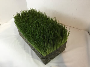 Green Plastic Grass Faux Plant