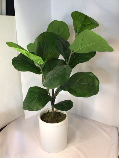Green Silk In Planter Faux Plant