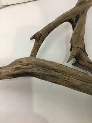 Natural Wood Drift Wood