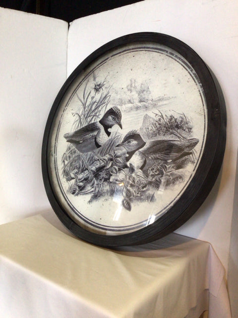 Uttermost Vintage Black/White Metal Round Birds Framed Art