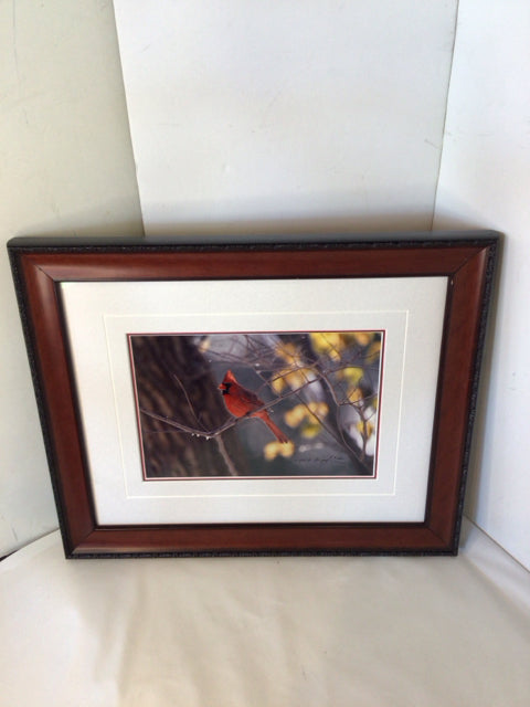 Signed Print Gray/Red Cardinal Framed Art