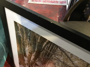 Brown/White Winter Scene Trees Framed Art