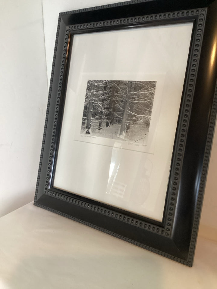 Signed Print Black/White Trees Woods Framed Art