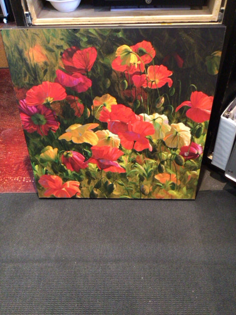 Black/Red Poppies As Is Stretch Canvas Art