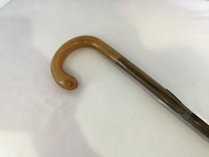 Bronze Bakelite Cane