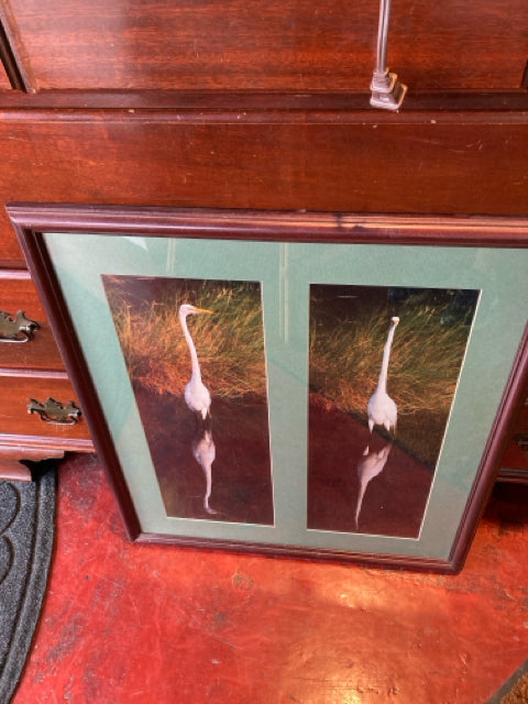 Blue Bird Framed Art