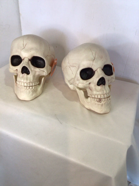 Halloween White Plastic Skull Set of 2 Holiday Item