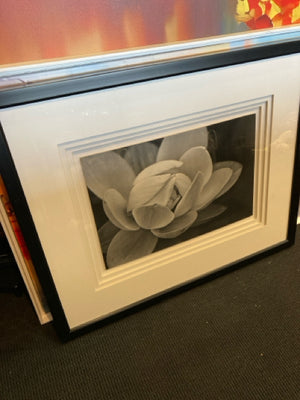 Print Black/White Flower Framed Art