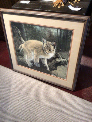 Tan Cat Framed Art