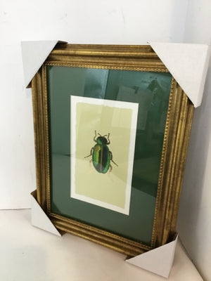 Target Green Beetle Framed Art