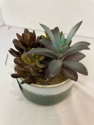 Green Succulent In Planter Faux Plant