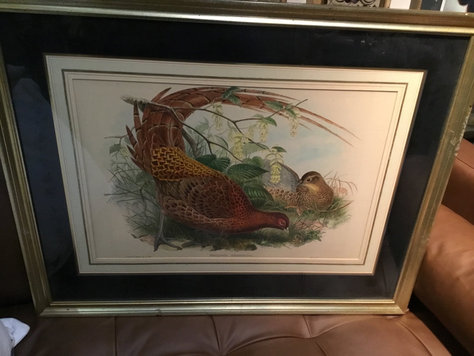 Traditional Pheasant Framed Art