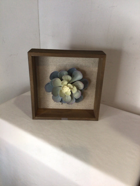 Shadow Green/Brown Succulent Framed Art
