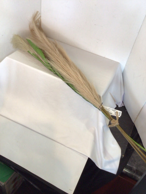 Set of 4 Natural Pampas Grass Faux Flowers