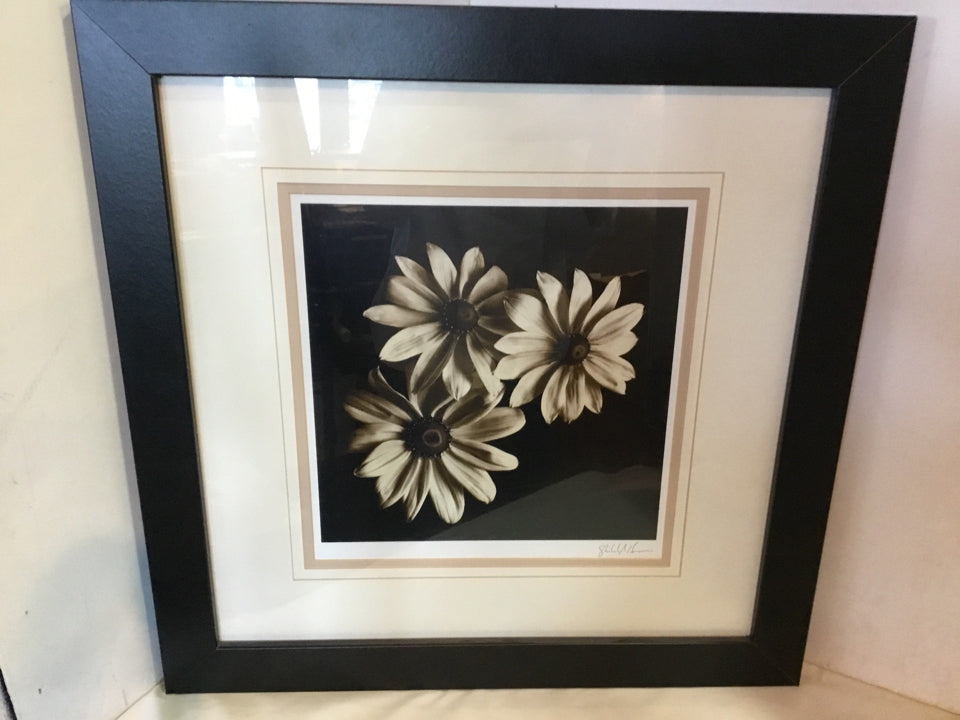 Signed White/Black Flowers Framed Art